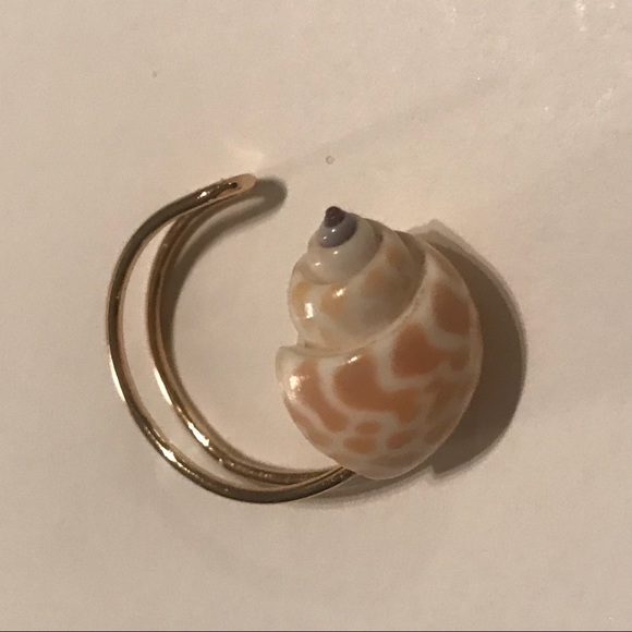 Shell ring - Picture 2 of 3